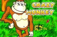 Crazy Monkey